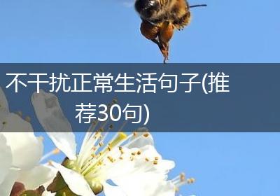 不干扰正常生活句子(推荐30句)