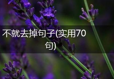 不就去掉句子(实用70句)
