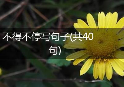 不得不停写句子(共40句)