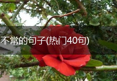 不常的句子(热门40句)