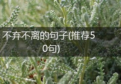 不弃不离的句子(推荐50句)