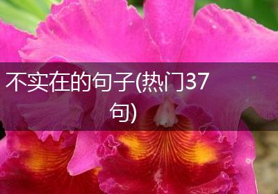 不实在的句子(热门37句)