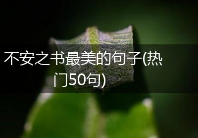 不安之书最美的句子(热门50句)