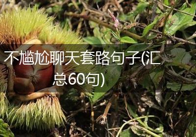 不尴尬聊天套路句子(汇总60句)