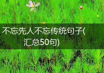 不忘先人不忘传统句子(汇总50句)