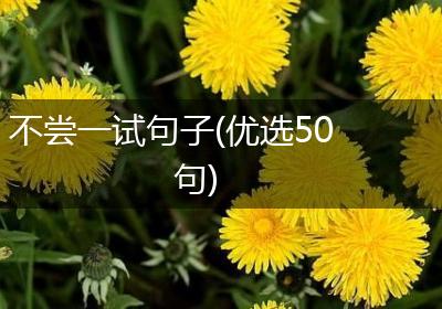 不尝一试句子(优选50句)