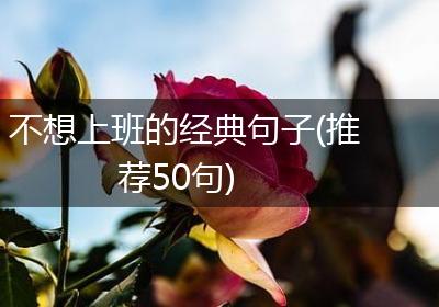 不想上班的经典句子(推荐50句)
