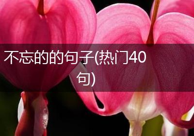 不忘的的句子(热门40句)
