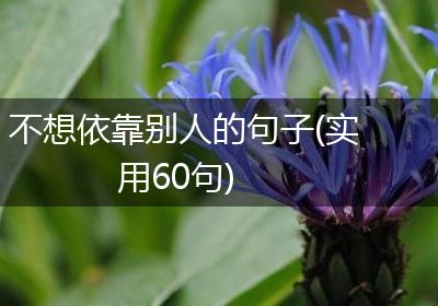 不想依靠别人的句子(实用60句)