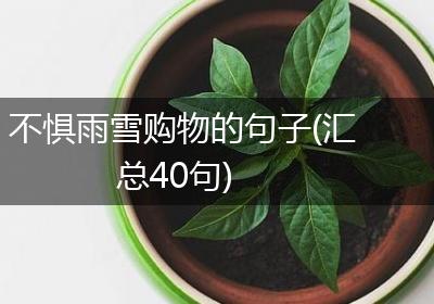 不惧雨雪购物的句子(汇总40句)