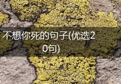 不想你死的句子(优选20句)