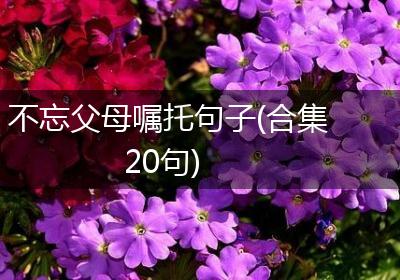 不忘父母嘱托句子(合集20句)