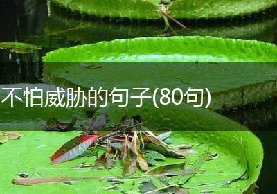 不怕威胁的句子(80句)