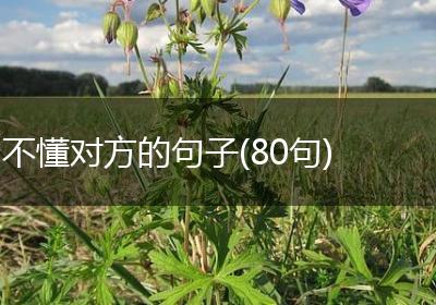 不懂对方的句子(80句)