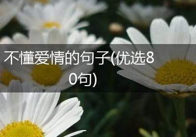 不懂爱情的句子(优选80句)