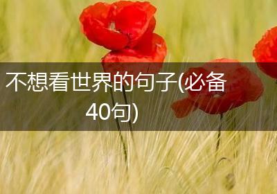 不想看世界的句子(必备40句)