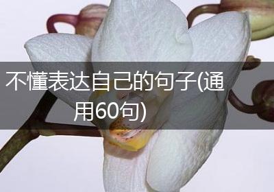 不懂表达自己的句子(通用60句)