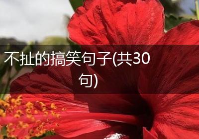 不扯的搞笑句子(共30句)