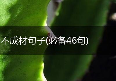 不成材句子(必备46句)