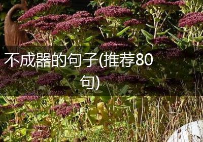 不成器的句子(推荐80句)