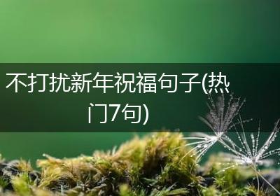 不打扰新年祝福句子(热门7句)
