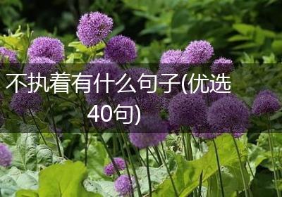 不执着有什么句子(优选40句)