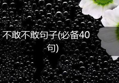 不敢不敢句子(必备40句)