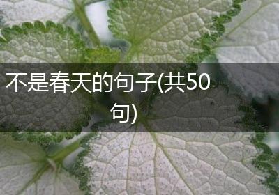 不是春天的句子(共50句)