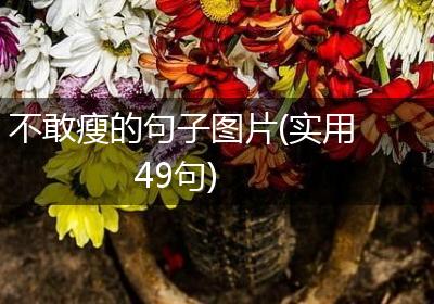不敢瘦的句子图片(实用49句)
