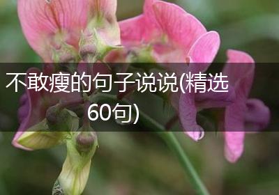 不敢瘦的句子说说(精选60句)