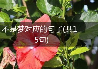 不是梦对应的句子(共15句)