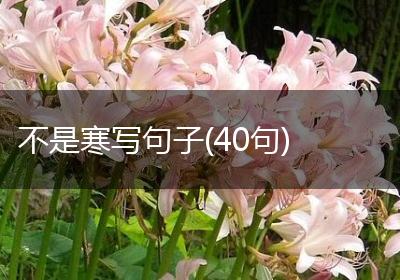 不是寒写句子(40句)