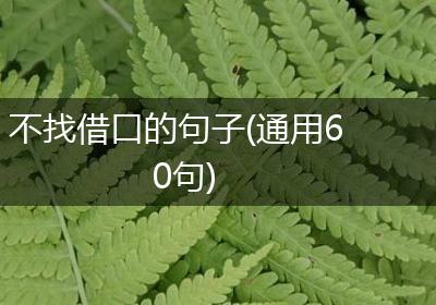 不找借口的句子(通用60句)