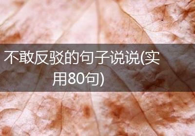 不敢反驳的句子说说(实用80句)