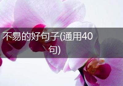 不易的好句子(通用40句)