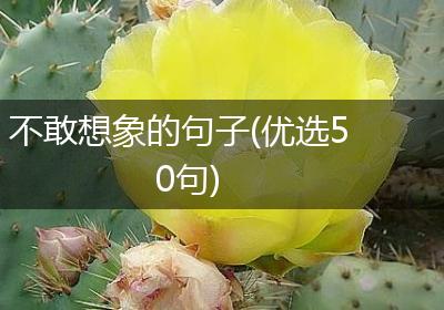 不敢想象的句子(优选50句)