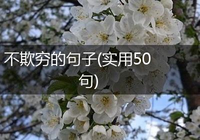 不欺穷的句子(实用50句)