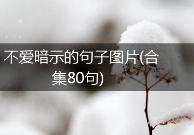 不爱暗示的句子图片(合集80句)