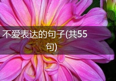 不爱表达的句子(共55句)