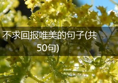 不求回报唯美的句子(共50句)