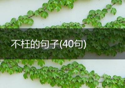 不枉的句子(40句)