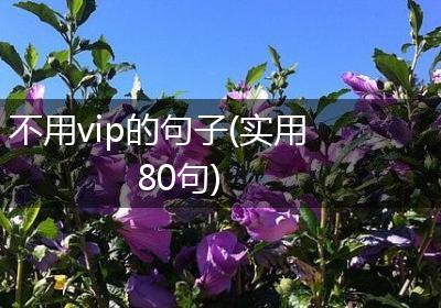 不用vip的句子(实用80句)