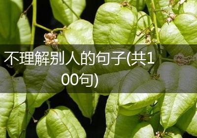 不理解别人的句子(共100句)