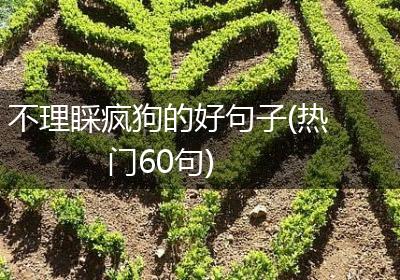 不理睬疯狗的好句子(热门60句)