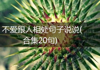 不爱跟人相处句子说说(合集20句)
