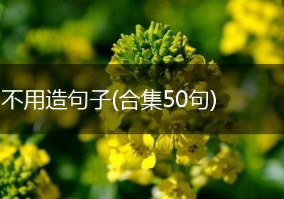 不用造句子(合集50句)