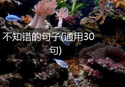 不知错的句子(通用30句)