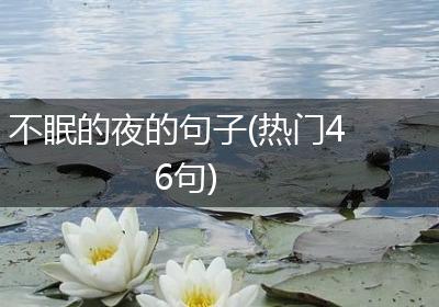 不眠的夜的句子(热门46句)