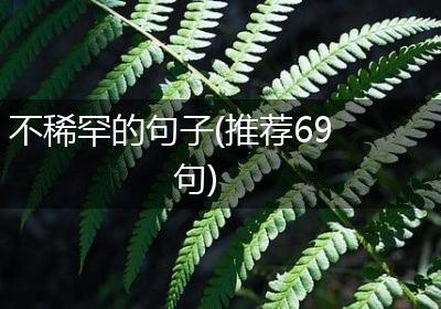 不稀罕的句子(推荐69句)