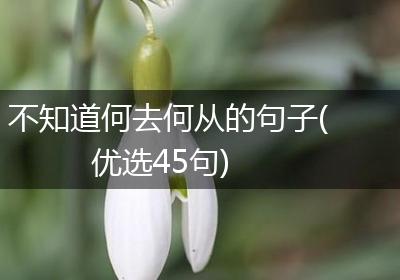 不知道何去何从的句子(优选45句)